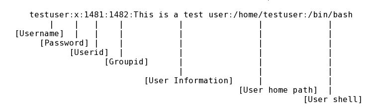 Что хранится в etc passwd. /etc/passwd linux.