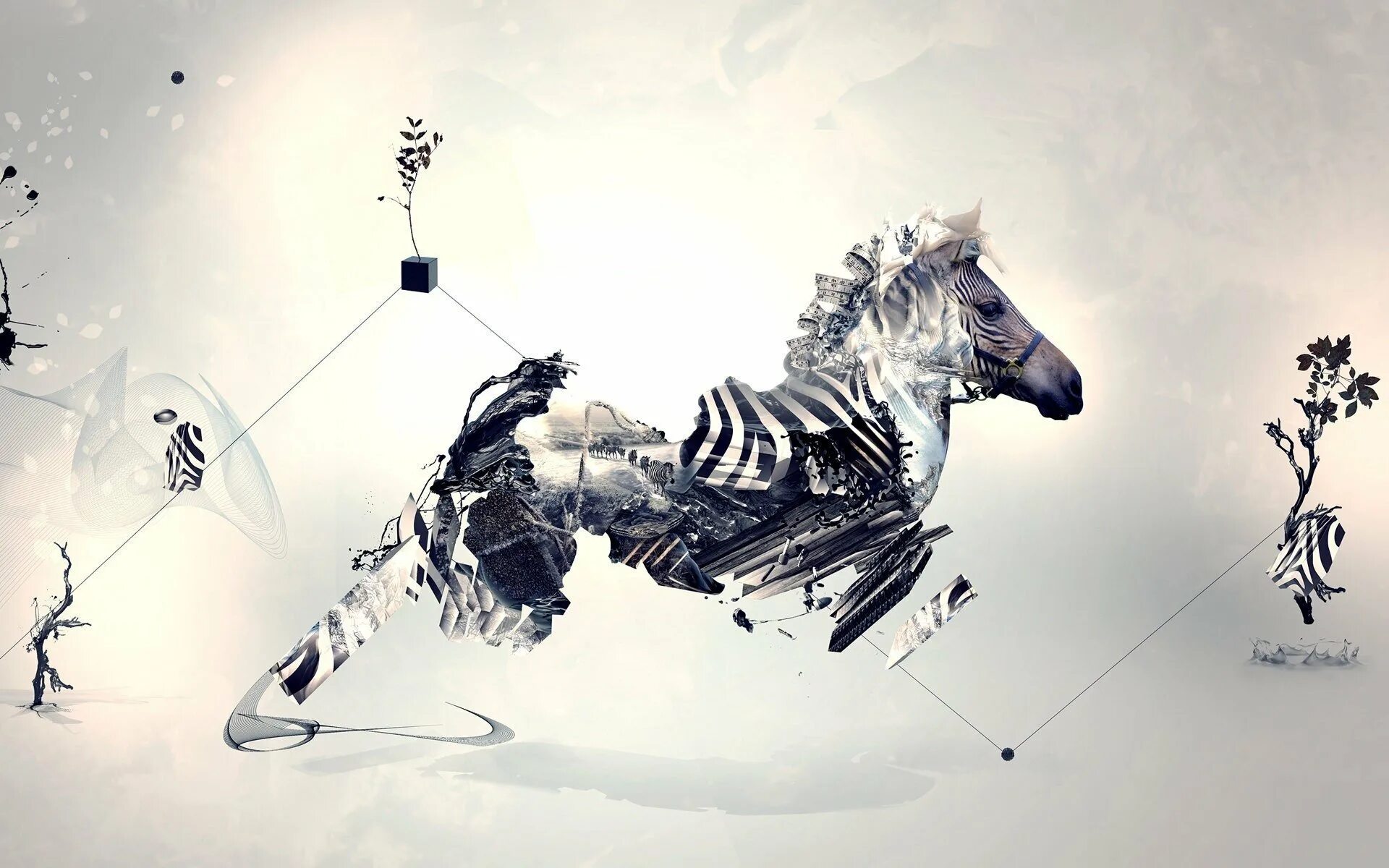 Graphics c