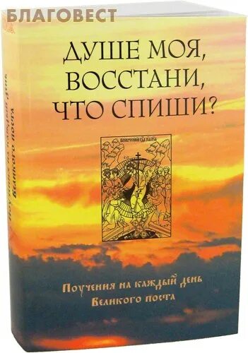 Душе моя восстани текст. Душе моя восстани что Спиши. Душе моя восстани. Душе моя душе моя восстани что Спиши. Поучения на каждый день Великого поста.