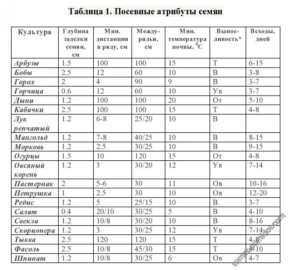 Глубина заделки семян таблица. Глубина заделки семян овощных культур таблица. Глубина заделки семян цветов таблица. Глубина заделки семян овощей таблица.