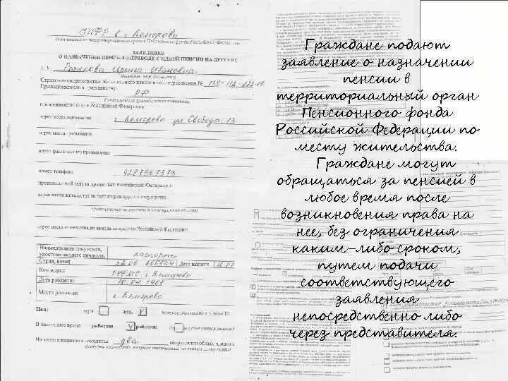 Образец выплатного дела. Заполненное пенсионное дело. выплатное пенсионное дело образец. номер пенсионного дела пример. заполнение пенсионного дела.