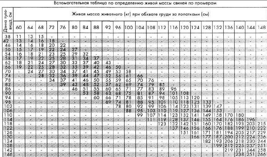 На 1 кг живой массы. Таблица измерения живого веса поросят. Таблица замера поросят живым весом. Таблица измерения свиней живым весом. Вес живой вес измерения свиней таблица.