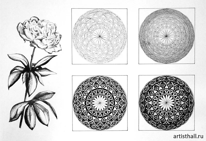 Стилизация растений композиция орнамент. Орнамент композиция. Стилизация деревьев. Раппортная композиция растения. Композиция природных форм.