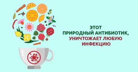 Природный антибиотик