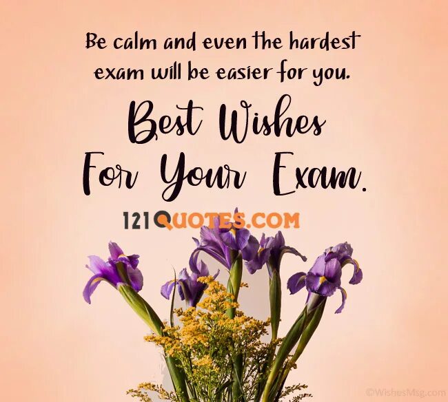 You well in your exam. Открытка best Wishes. Best Wishes на английском. Надпись best Wishes for you. Wishes for Exams.