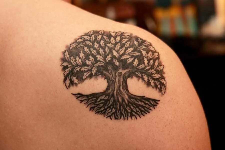 Дерево жизни дуб. Дерево Бодхи тату. Дерево жизни. Тату дерево жизни. Тату дерево дуб.