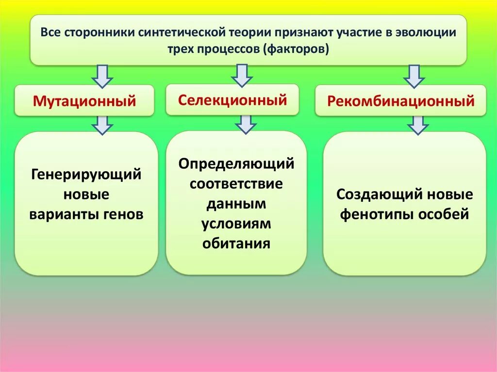 Факторы синтетической теории эволюции. Синтетическая теория эволюции. Факторы эволюции по синтетической теории. Положения современной синтетической теории эволюции. 3 основных фактора развития