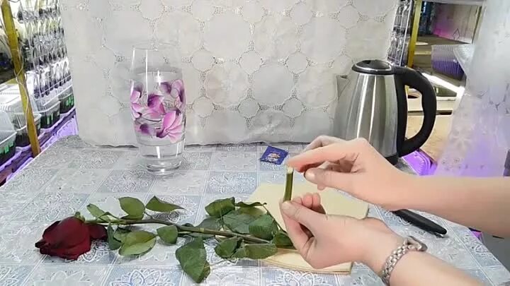 Оживление розы. Розы в ванной. Как реанимировать розы в воде. Розы в холодную ванну. Розы в ванной с холодной водой.