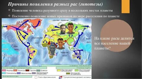 Почему возникли разные расы