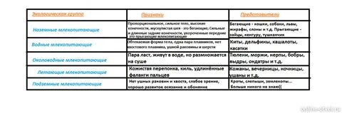 Особенности строения наземные