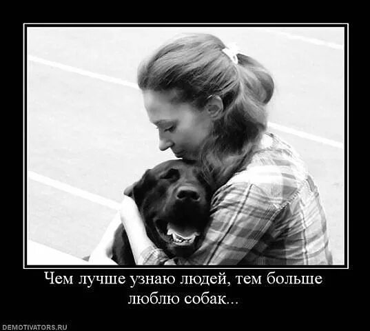 Животные лучше людей картинки Самые добрые породы собак Худеем вместе. Мой дневник Дзен