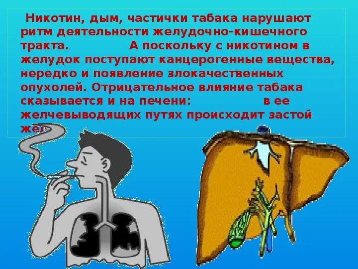 Проект по обж вредные привычки. Вредные привычки курение обж. вредные привычки и их влияние на здоровье курение. вредные привычкикуренгиеэ обж. вредные привычки табакокурение обж.