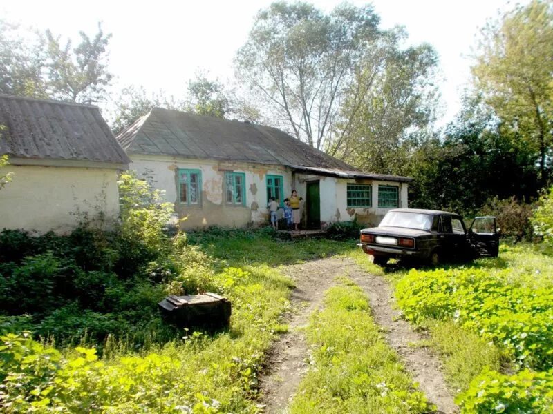 Орловская область Верховский район деревня Туровка. Орловская область.Верховский район.д . Верховье.. Деревня большой Синковец Верховский район Орловская область. Орловская область Верховский район станция Туровка. Погода в верховье орловская область на гисметео