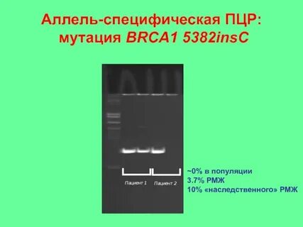 Аллель анализы