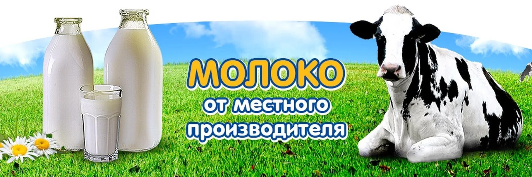 Реализуем молоко. Молоко. Корова молоко. Продается молоко. Баннер молочной продукции.