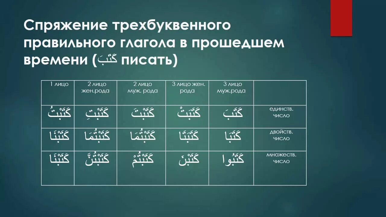 Проспрягать глаголы в прошедшем времени. Спряжение арабских глаголов таблица. Спряжение глаголов в арабском языке. Спряжение глаголов настоящего времени в арабском языке. Таблица спряжения глаголов в прошедшем времени в арабском языке.