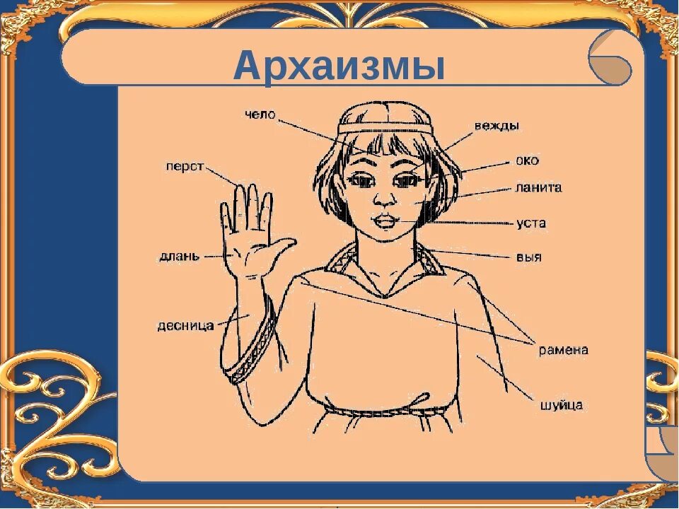 П выя. Архаизмы. Устаревшие архаизмы. Слова архаизмы. Что такое архаизмы в русском языке.