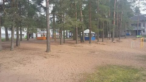 Лагерь гверстянец новгородская область