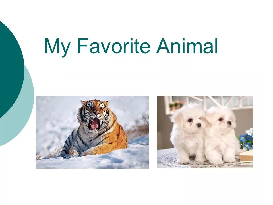 Презентация на тему my favourite animal. Проект my favourite animal. Проект на тему my favourite animal. Проект на тему my favorite animals.