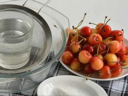 Червивая черешня что делать. Вишневая муха rhagoletis cerasi. Вишня горькая. Вишневая муха rhagoletis cerasi. Червивая черешня что делать.