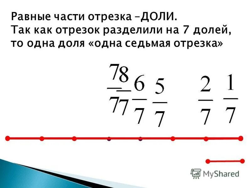 Какие доли отрезка получились