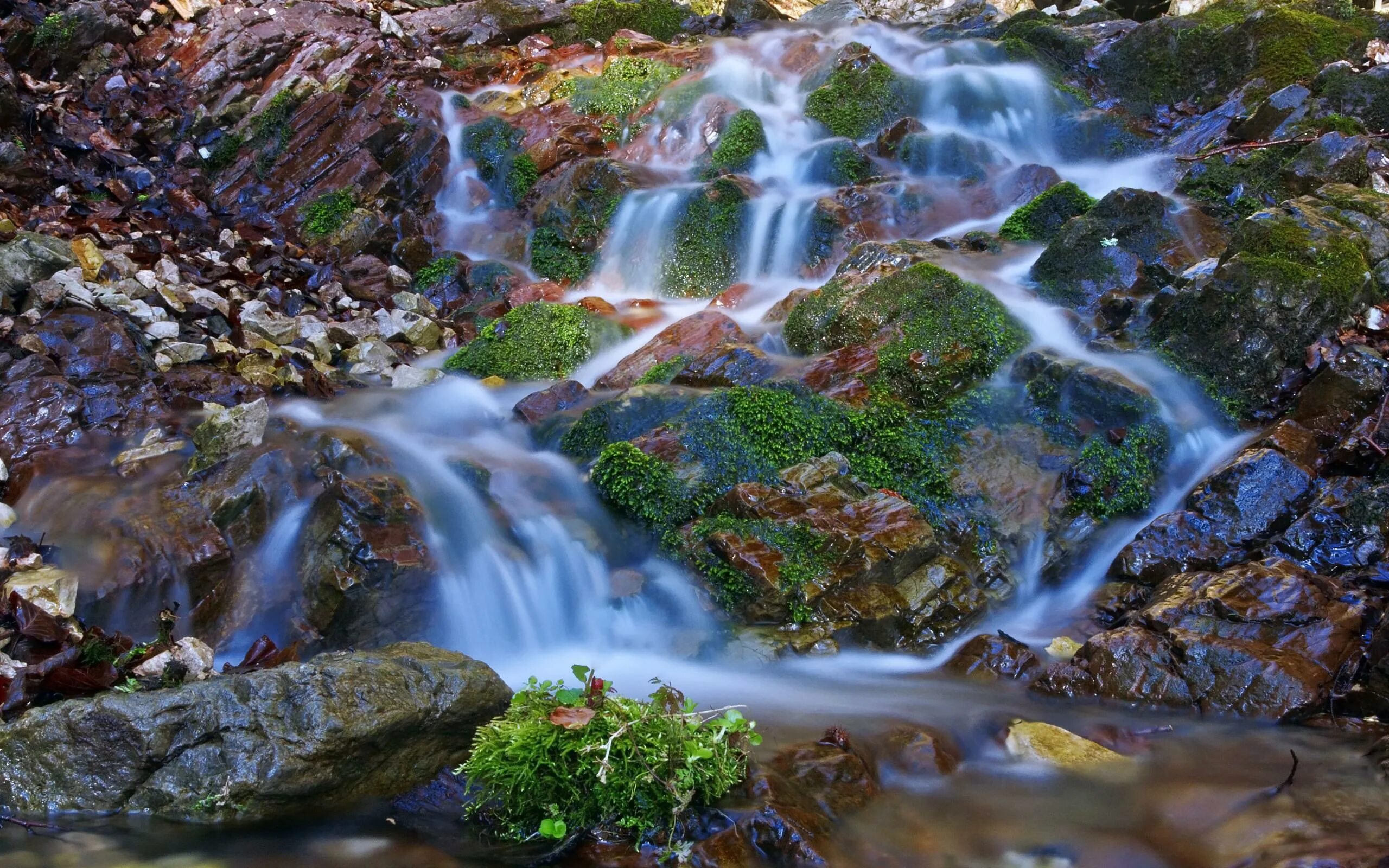 Ручей. Ручей (Водный поток). Камушки в ручье. Благополучия ручей.