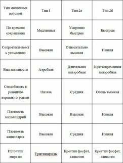 Разные типы мышечных волокон