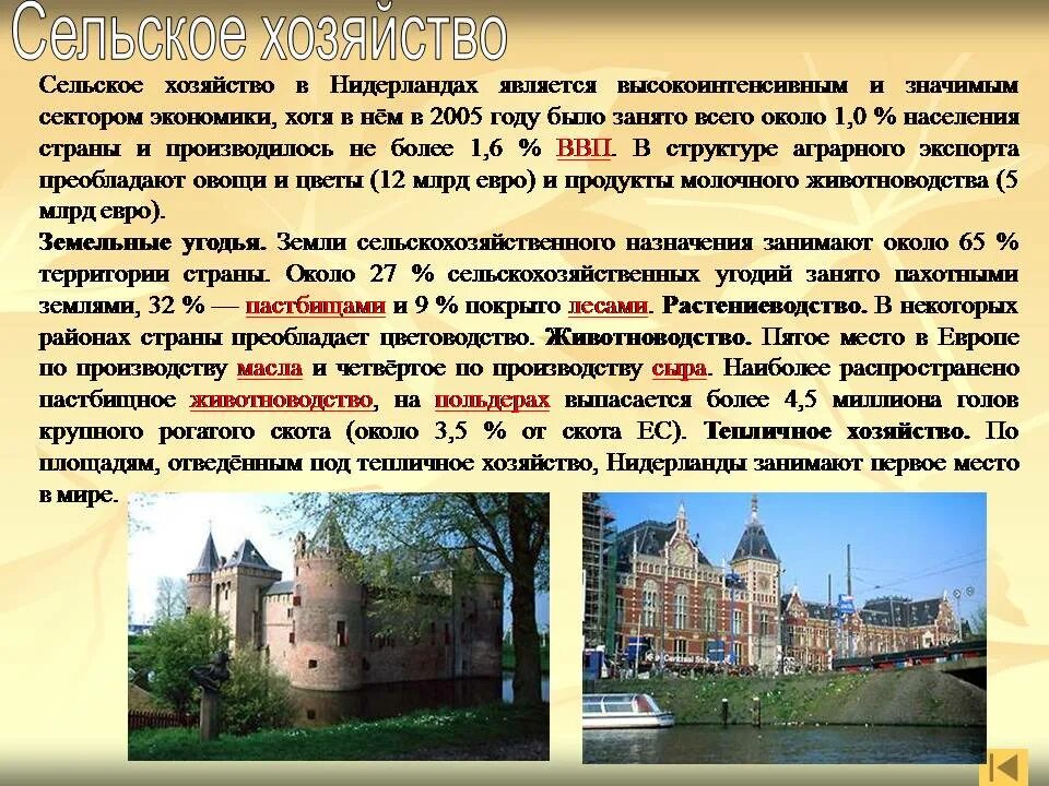 Нидерланды окружающий мир 3. Информация о голландии 3 класс. краткое сообщение о голландии. рассказ о нидерландах. нидерланды проект.