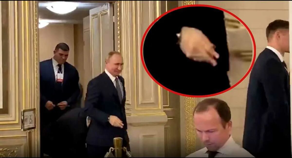 Почему посол