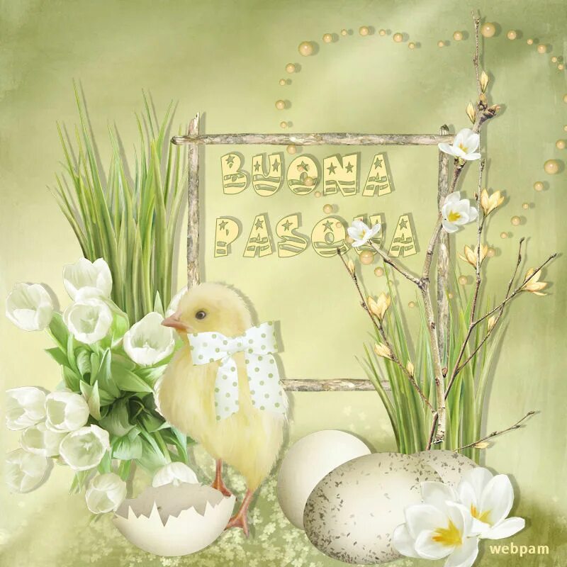 Buona Pasqua картинки. Buona Pasqua открытки красивые. Buona Pasqua поздравления. Открытка auguri buona Pasqua.