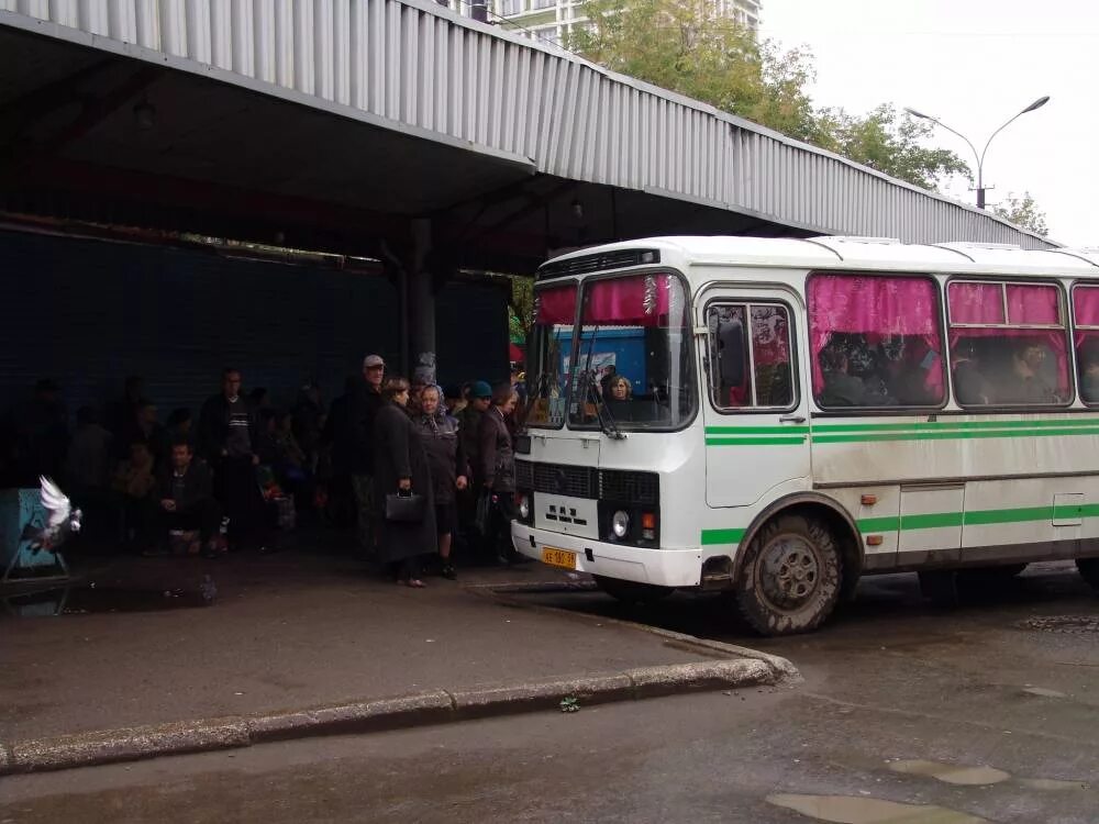 Автобус пермь ныроб. Пермские автобусы. Старые Пермские автобусы. Автобусы Пермского кра. Автобусы Пермь автовокзал.