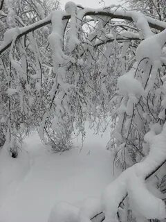 Зимний отчет