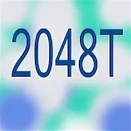 2048 t