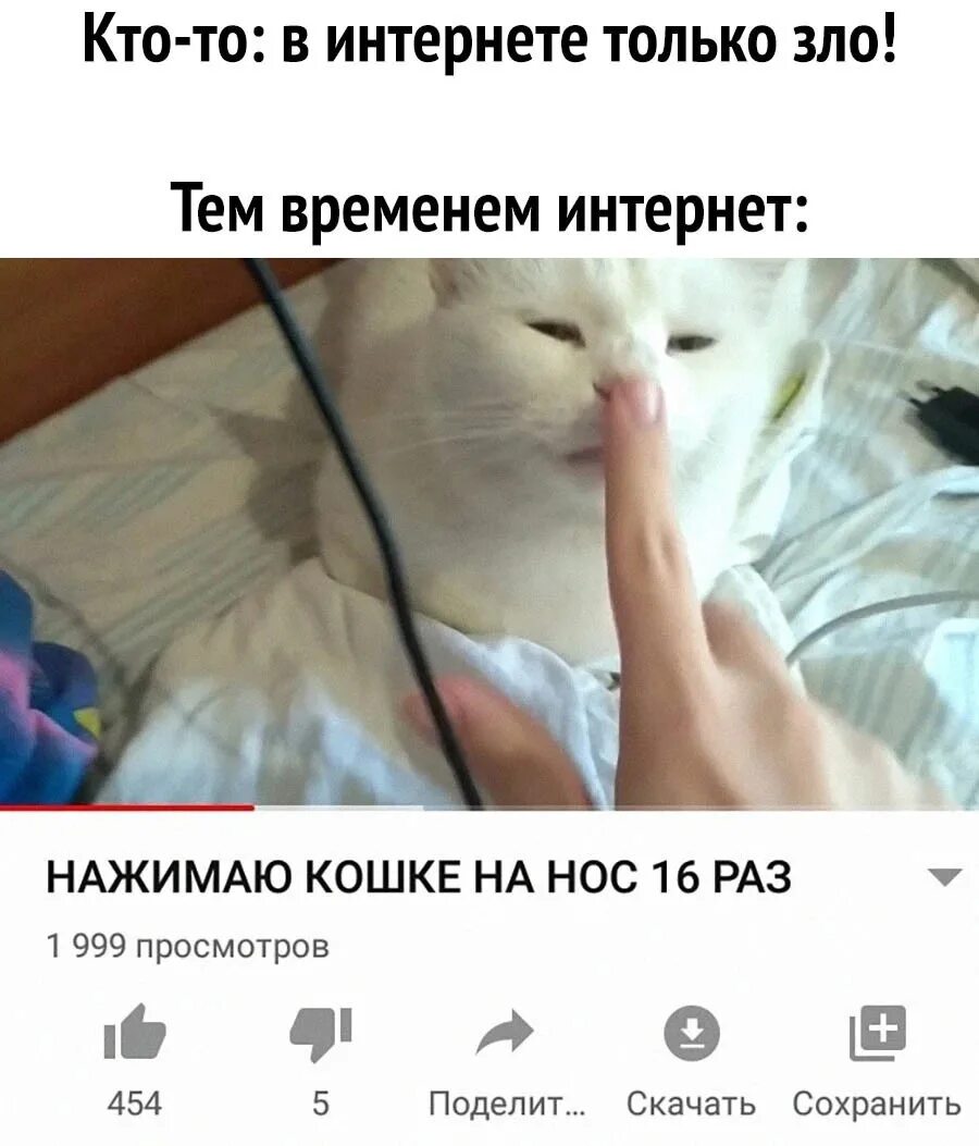 Тг канал с мемами