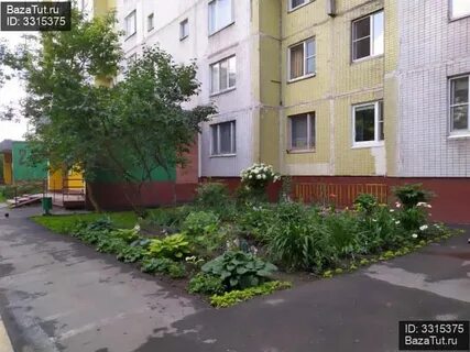 Аллея 7б