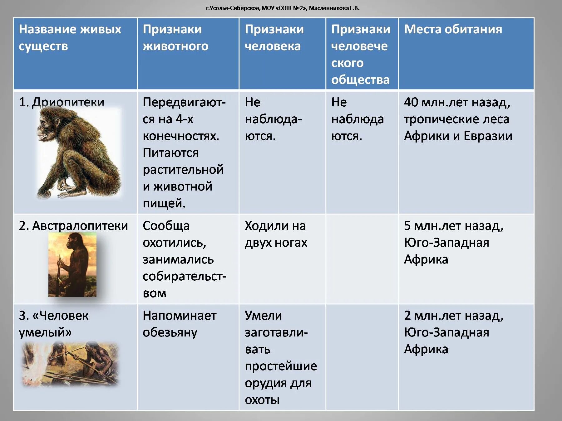 Дриопитек характеристика таблица 5 класс. Этапы эволюции человека таблица дриопитек. Этапы эволюции приматов таблица дриопитеки. Этапы антропогенеза таблица австралопитек.