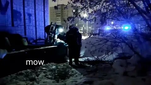 Родившая в ночь не то сына