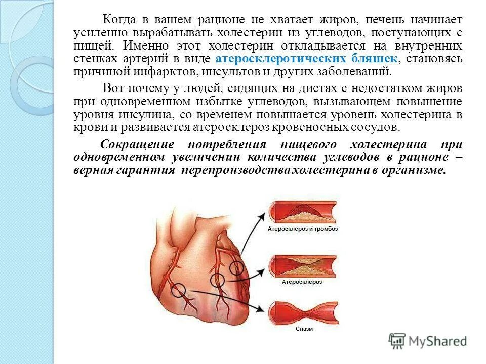 Можно ли печень при холестерине