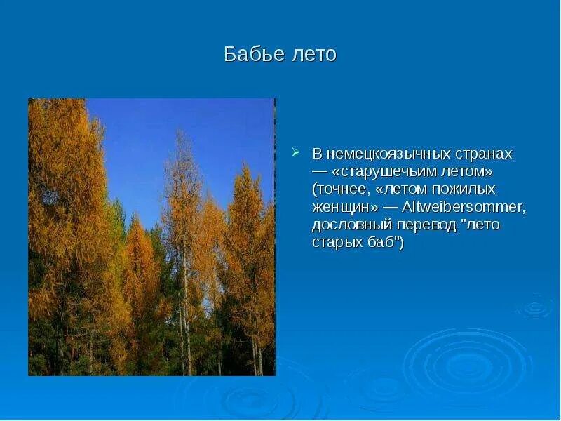 Сочинение бабье лето. Сообщение о Бабьем лете. Бабье лето рассказ. Мини сочинение про бабье лето. Бабье лето конспект урока