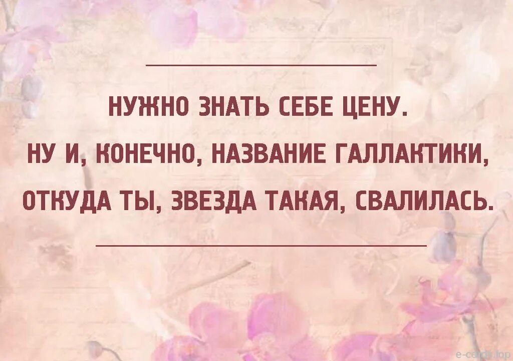 Женщина знает цену. Нужно знать себе цену. Знай себе цену. Знай себе цену цитаты. Человек должен знать себе цену.