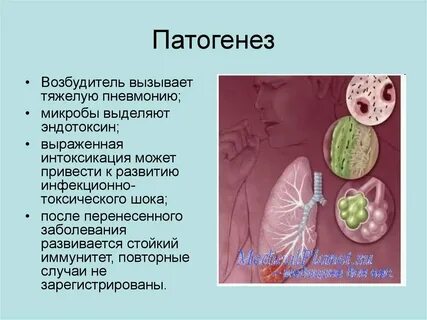 Вызванный возбудителями