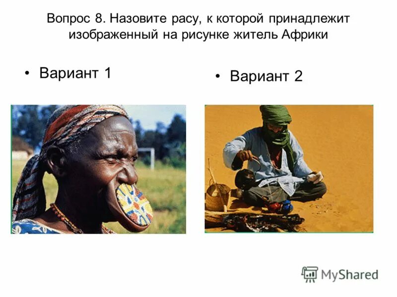 назовите расы к которым относится население африки