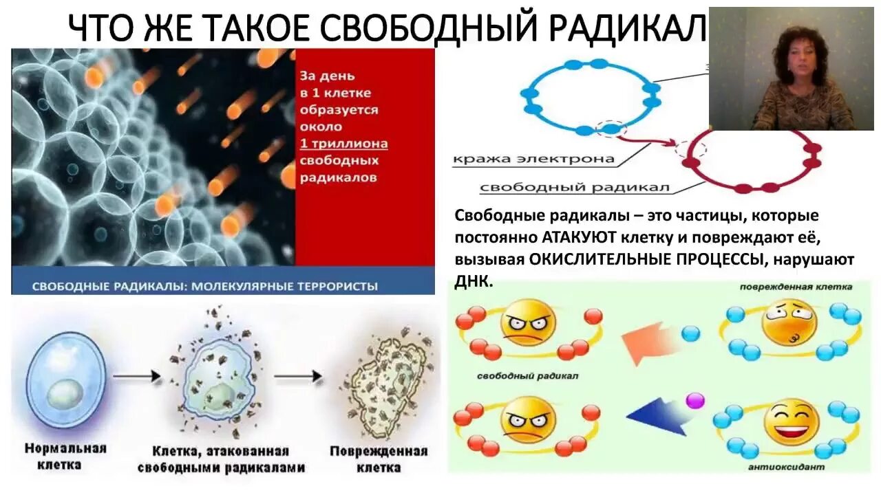 Свободные радикалы и антиоксиданты в организме. Свободные радикалы атакуют клеточную мембрану. Почему образуются свободные радикалы. Кожей радикал