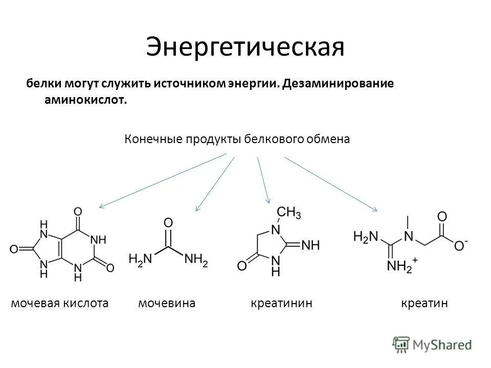 Продукты ахотистого обеса. Общая схема путей распада аминокислот. Конечным обменом белков является. Образование конечных продуктов обмена белков. Конечные продукты азотистого обмена.