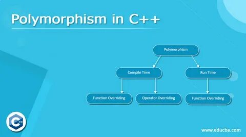 Полиморфизм c