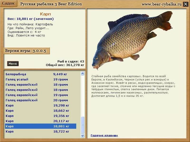 карась русская рыбалка. русская рыбалка 3 волга локации. сельдь каспийская рр3 урал. хищная рыба окуневых. где ловить русской рыбалки 3.