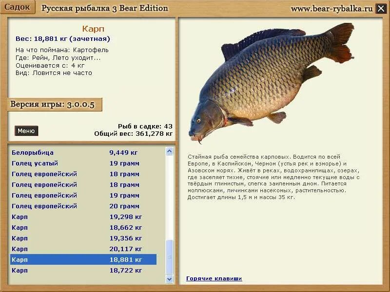 Русская рыбалка edition. Русская рыбалка Bear Edition. Русская рыбалка 3. Русская рыбалка Карп. Русская рыбалка Кама.