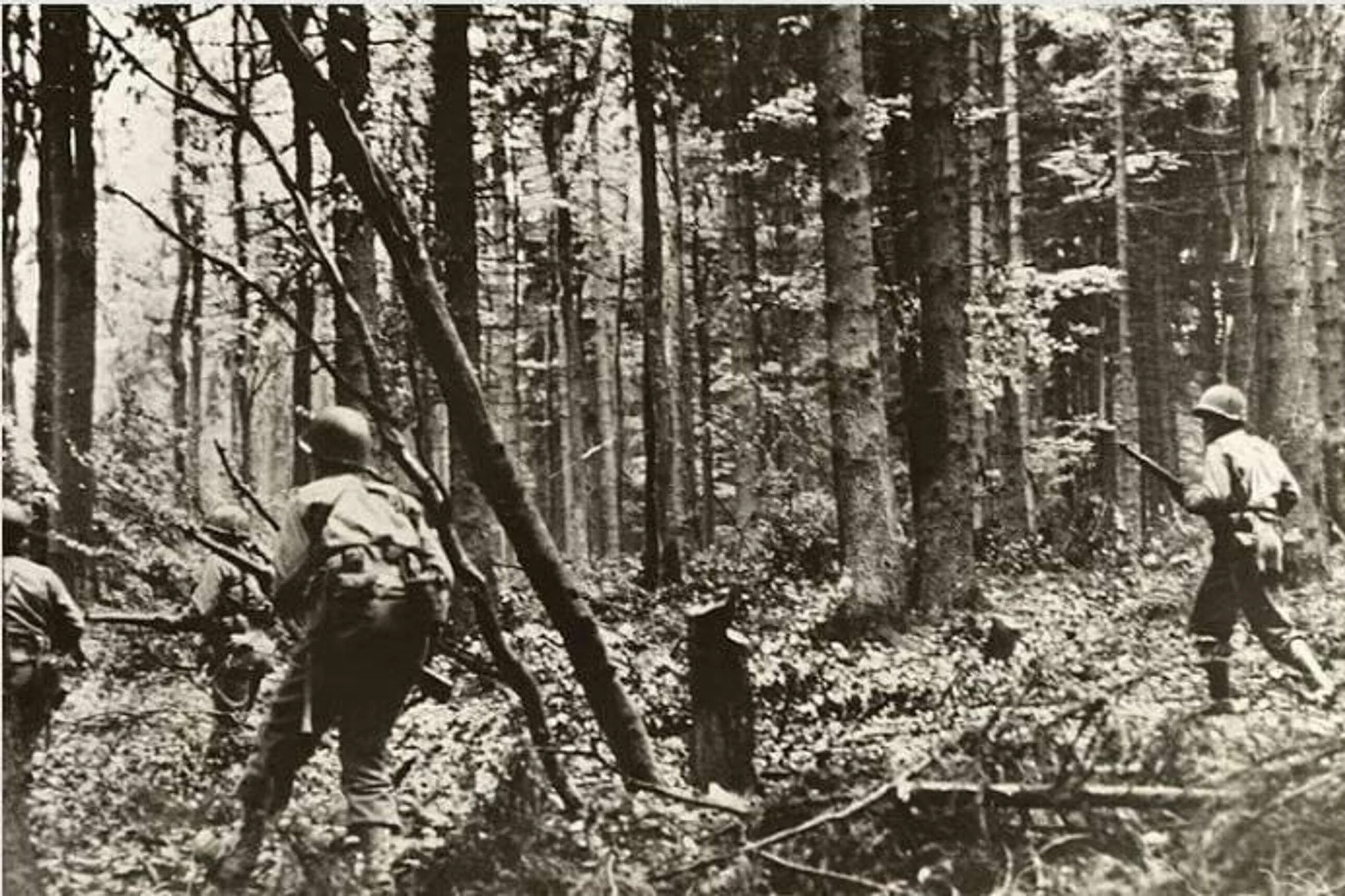 Засада партизан. Арденский лес вторая мировая. Военные в лесу.