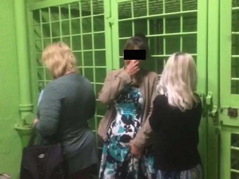 Ночная бабочка брянск. Девушки на ленинградке. Задержанные ночные бабочки. Ночная бабочка брянск. Ночная бабочка брянск.