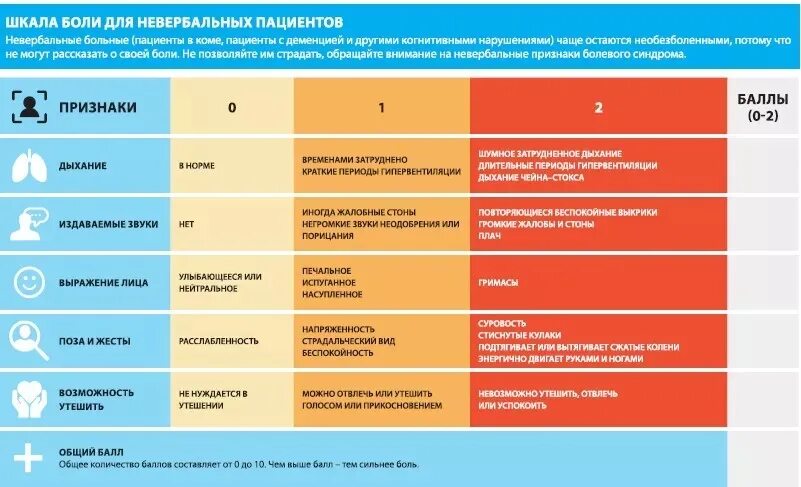 Школа боли человека